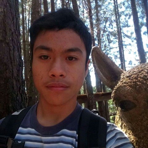Web Developer